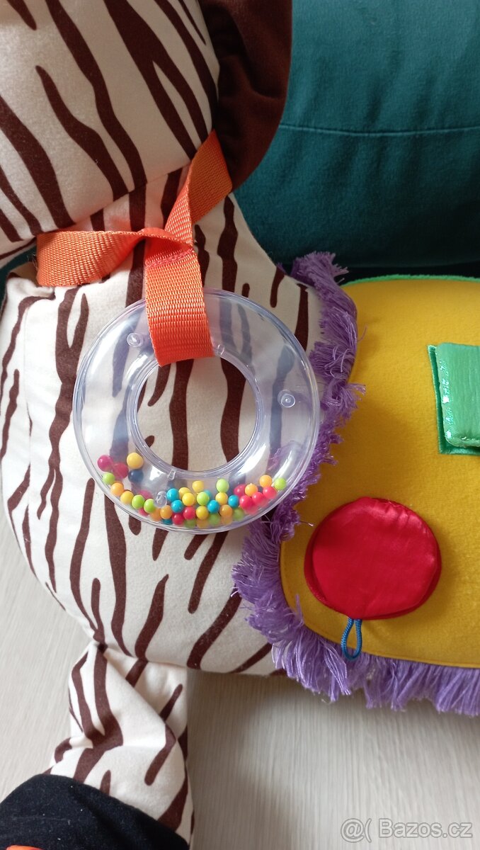 Zebra Ryan K's Kids - 5