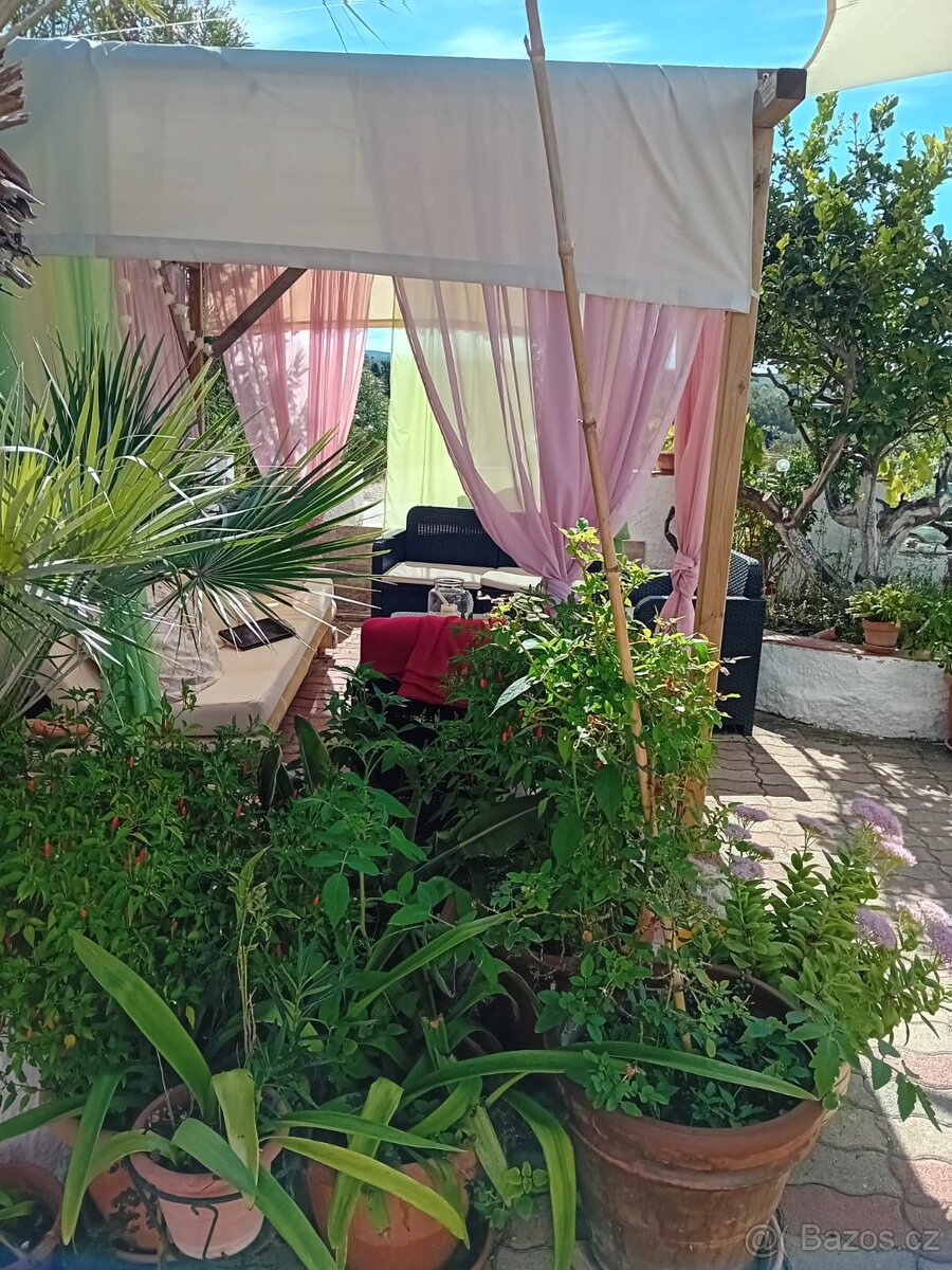 Sardinie u moře - 5