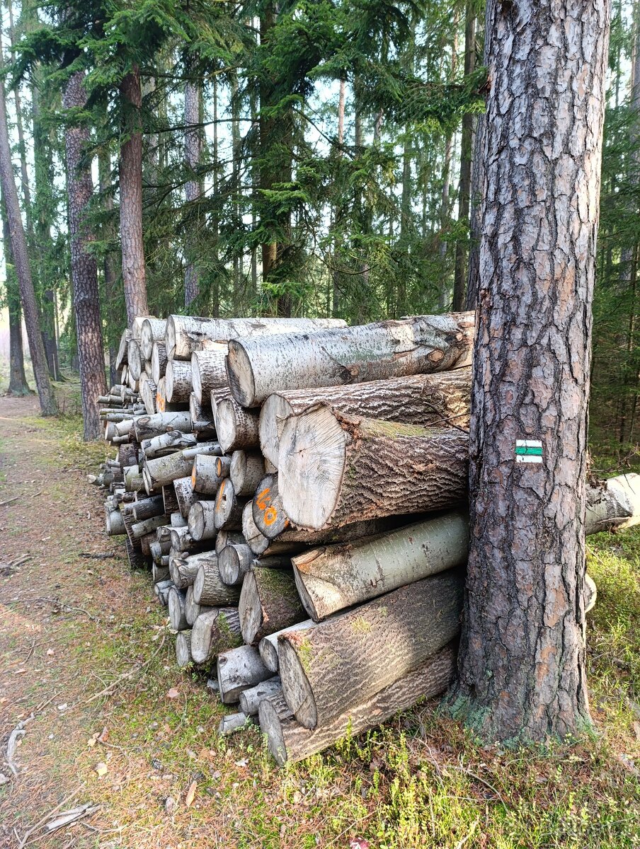 Palivové dřevo neštípané měkké/tvrdé - 5