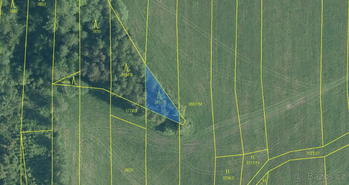 Prodám lesní pozemky v k.ú. Ločenice, p.č. 3857/9 a 3904 - 5