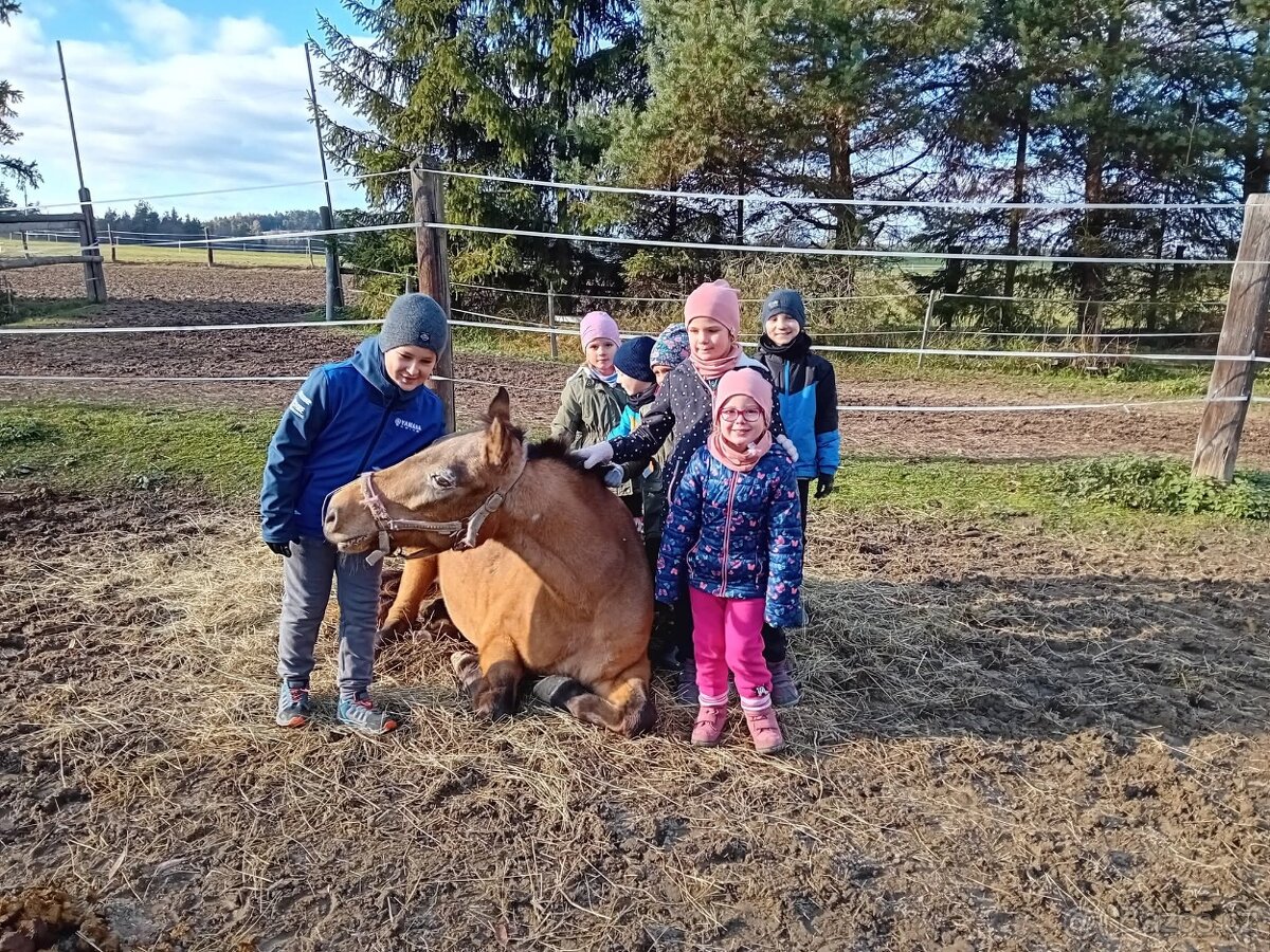 pony klisna - 5
