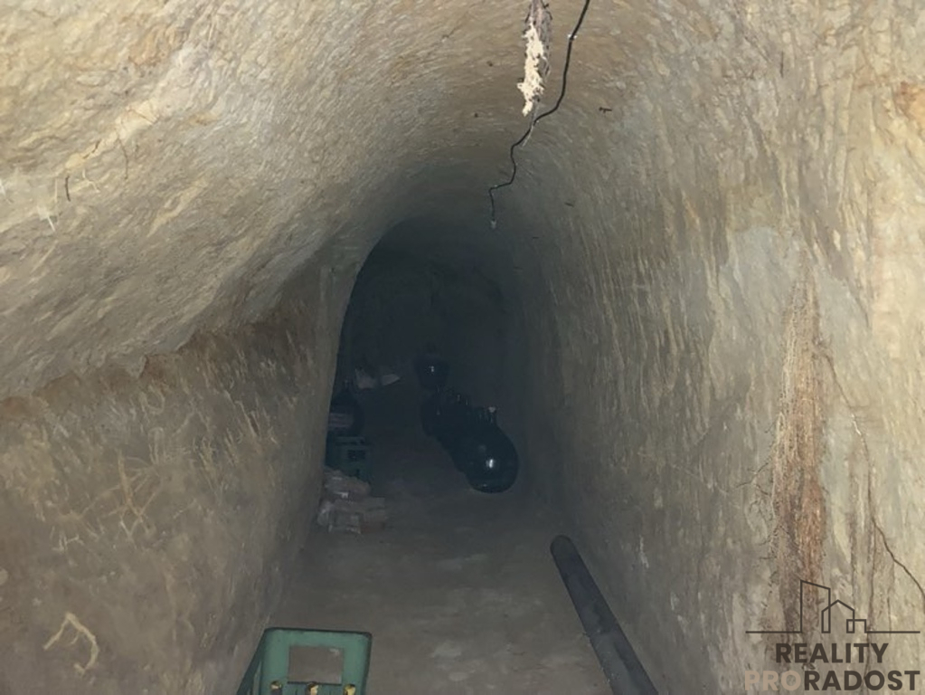 Prodej vinného sklepa ve Chvalovicích, 20 m2, Chvalovice, ok - 5