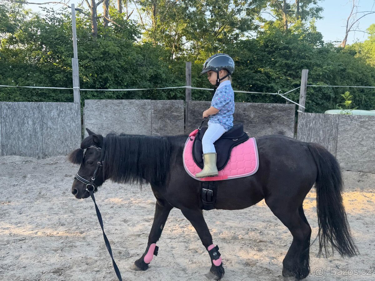 Krásná pony na prodej - 5