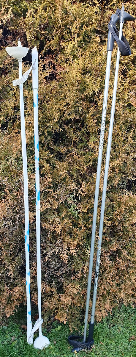 běžky hole hůlky boty lyžáky - 5