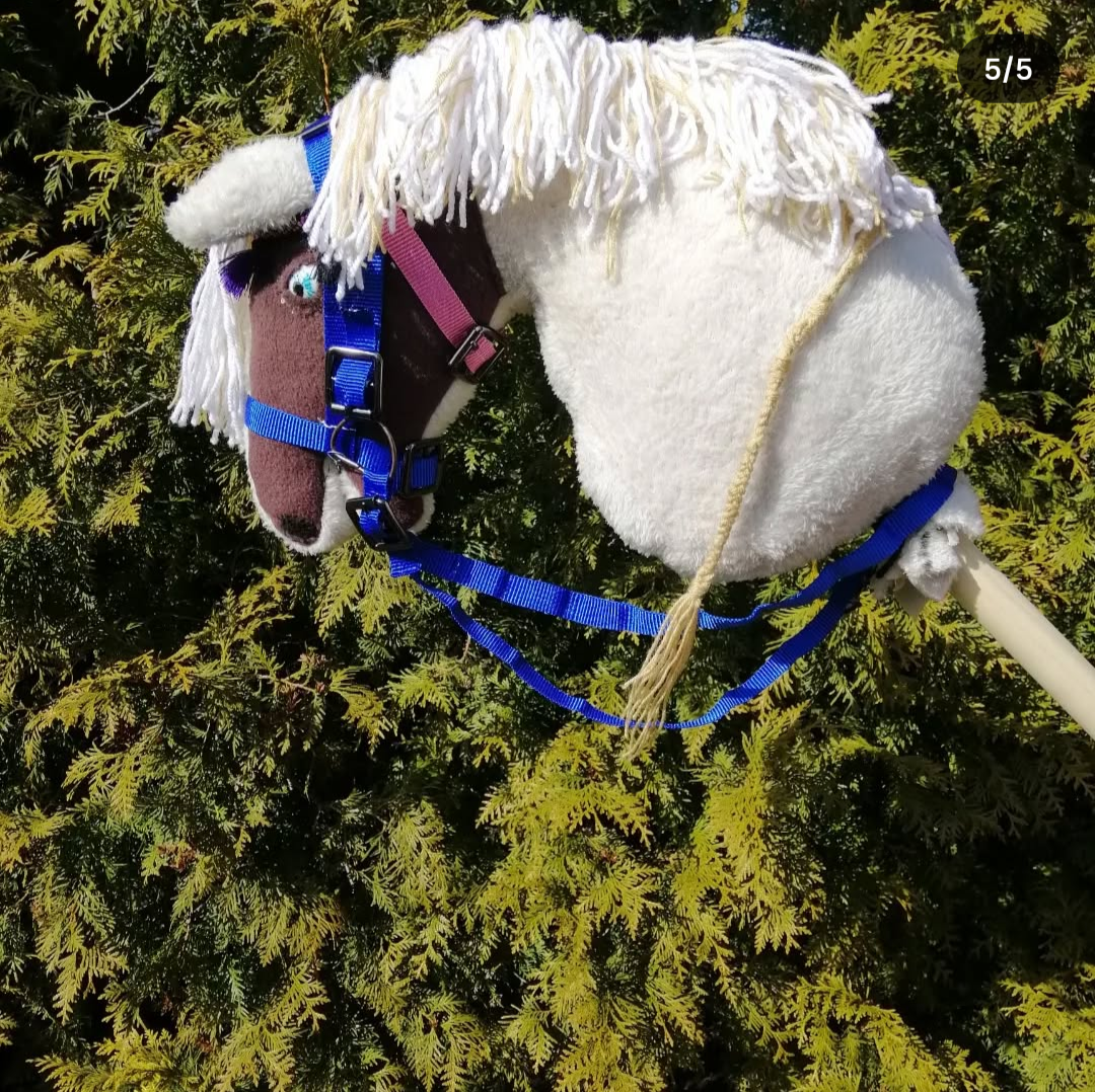 Hobby horse - dvoubarevný - 5