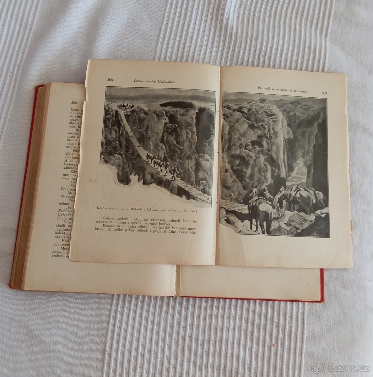 Červenomodrý Methusalem - 5