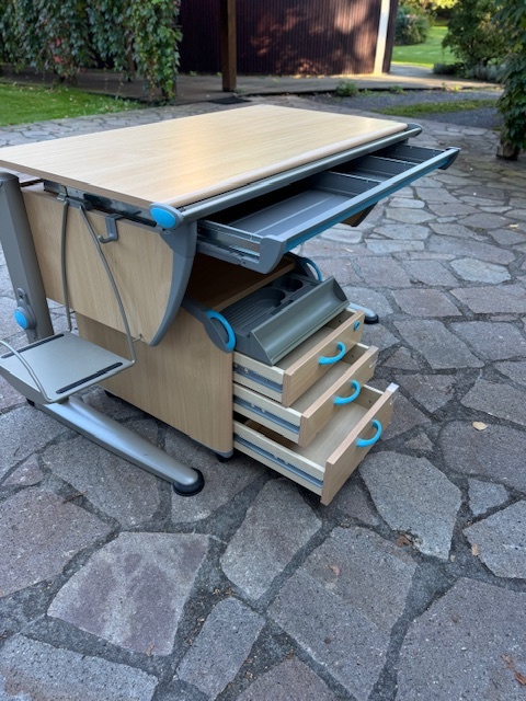 Prémiový psací stůl Moll by Delso - 5