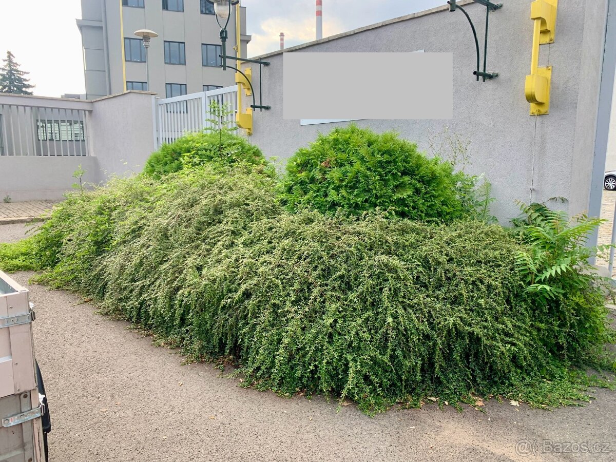 Údržba zeleně - 5