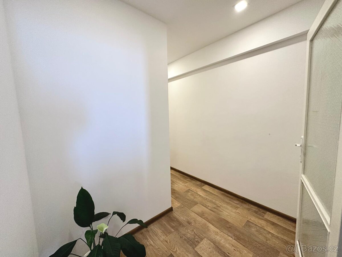 Pronájem bytu 1+1- Praha 3 - 5