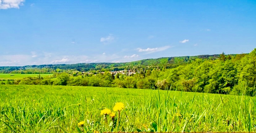 Pronájem Zahrady - 5