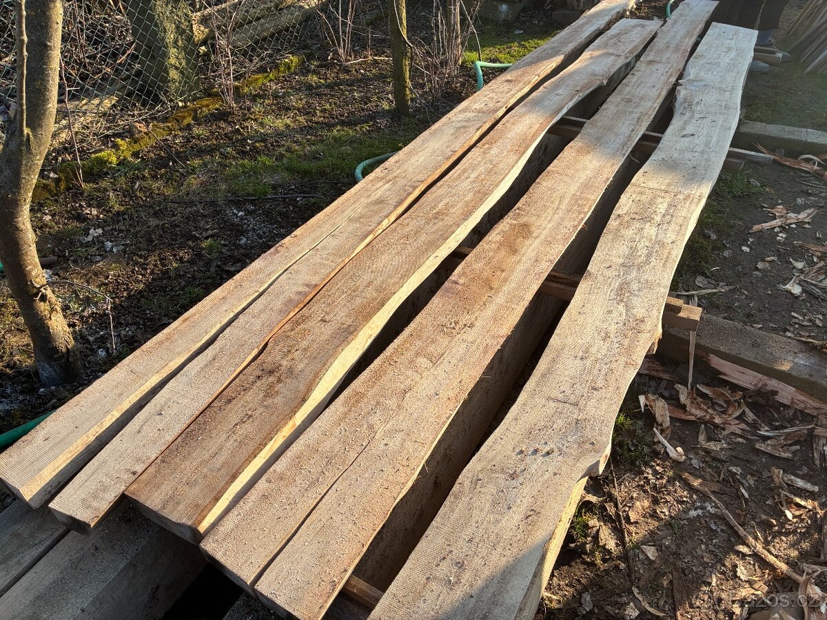 Jilm fošny, prkna - 5