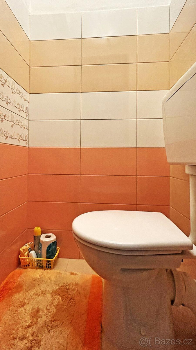 Byt 3+1(73 m2) s gar. a zahr.,Lesonice okr.Třebíč/REZERVACE/ - 5