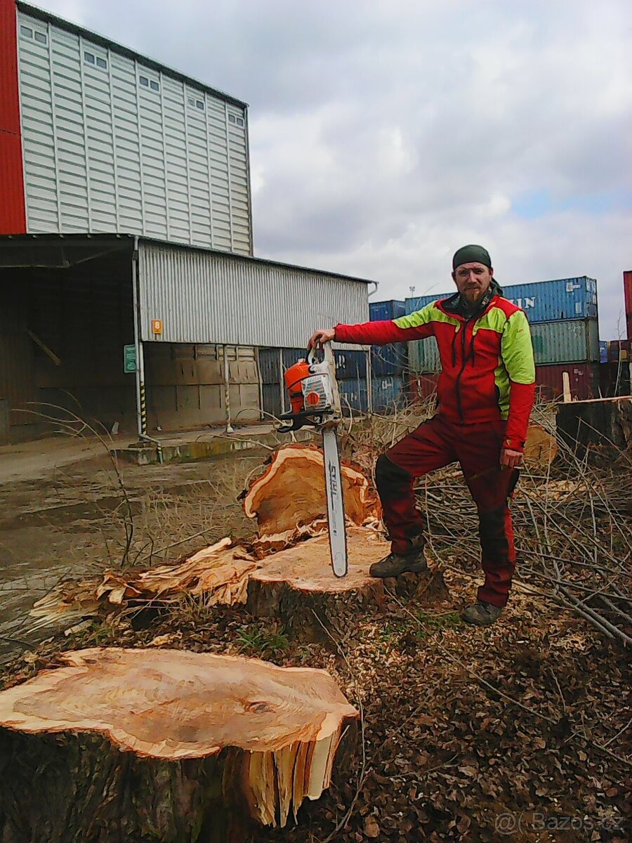 Kácení a ořezy stromů Uherskobrodsko - 5