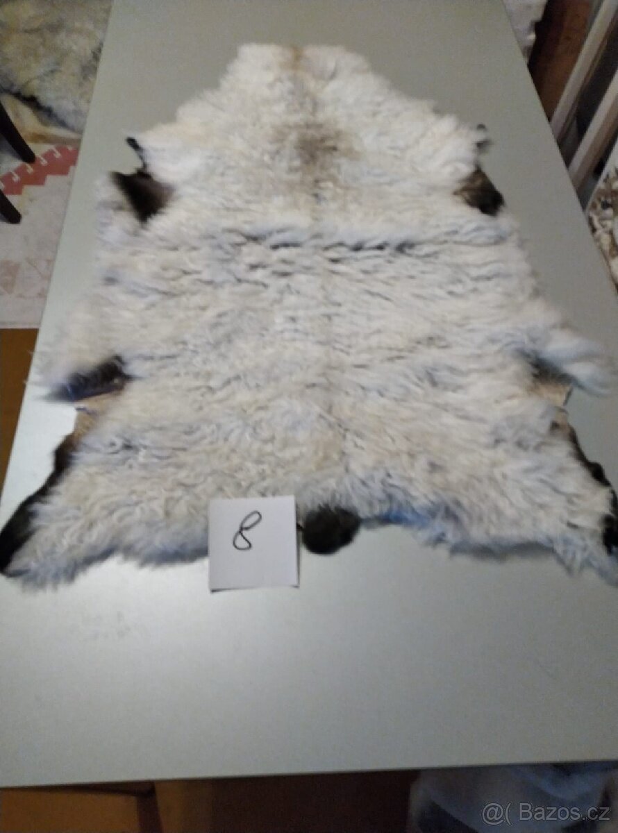 Prodám kožešiny z oveček - 5