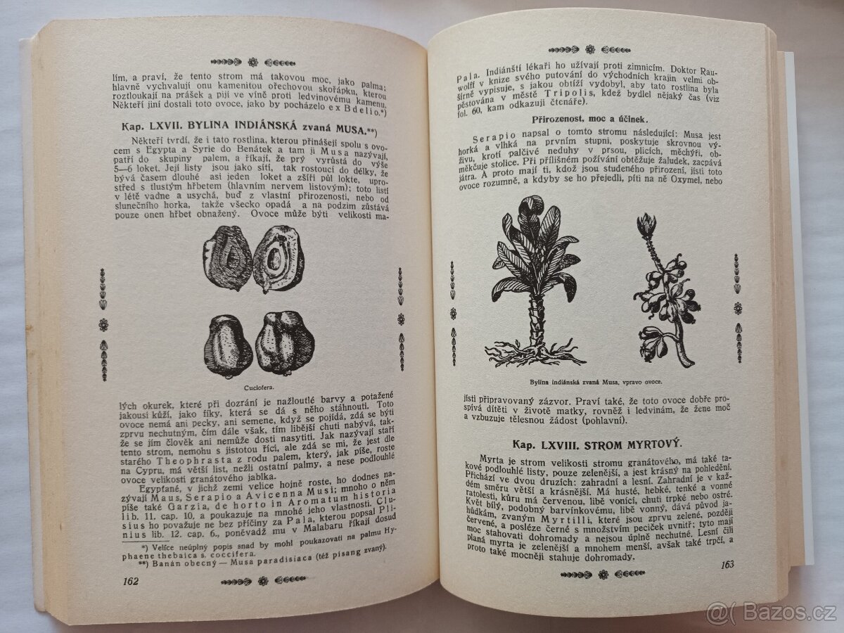 Herbář neboli bylinkář - 5