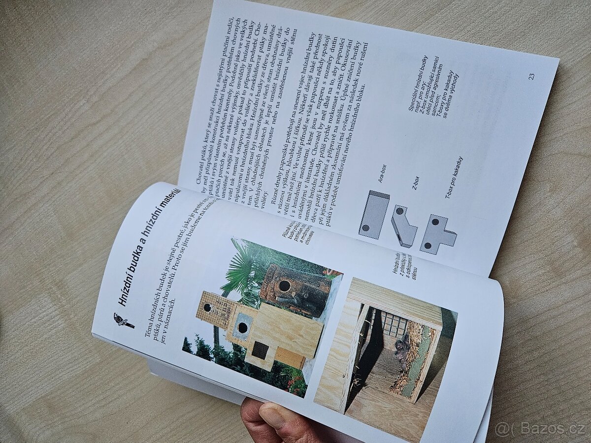 Papoušci umělý odchov mláďat nova - 5