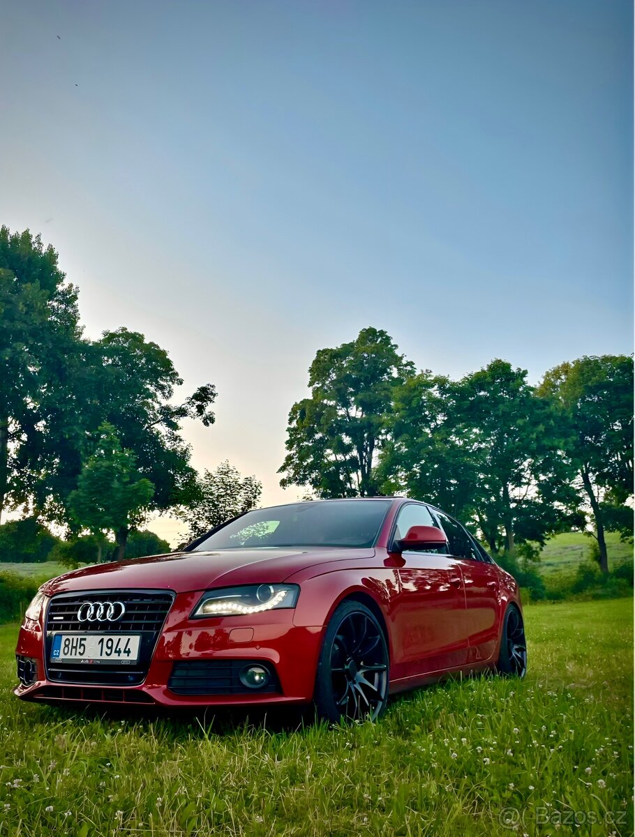 Tomason Kola 19” - 5