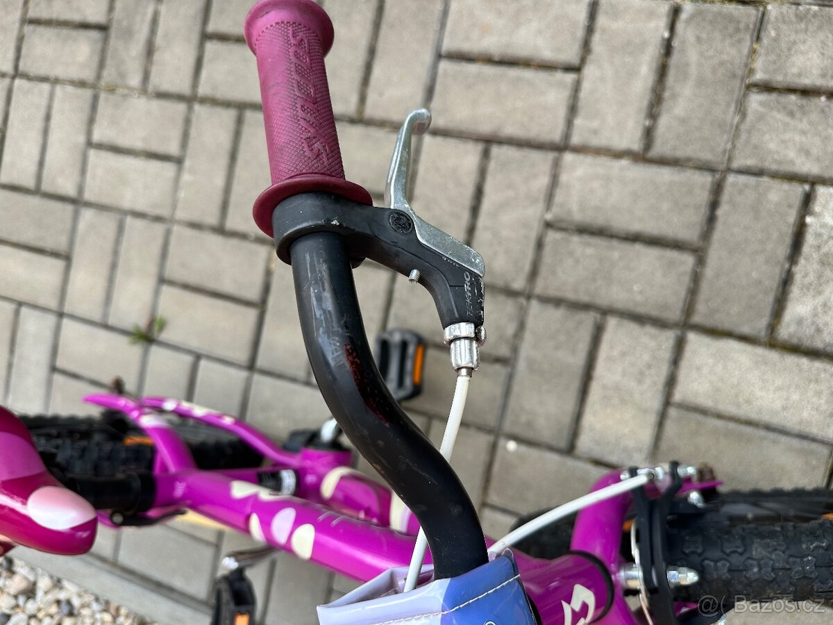 Kolo Scott Contessa 16 - 5