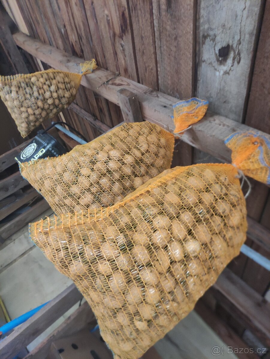 Vlašské ořechy loupané, neloupané. - 5