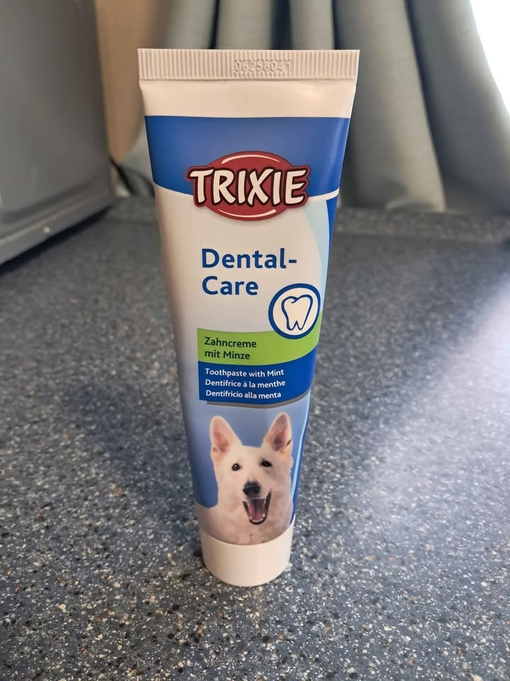 Sada pro štěně nebo menšího psa - 5