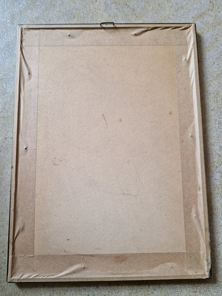 Stařena s kočkou - 5