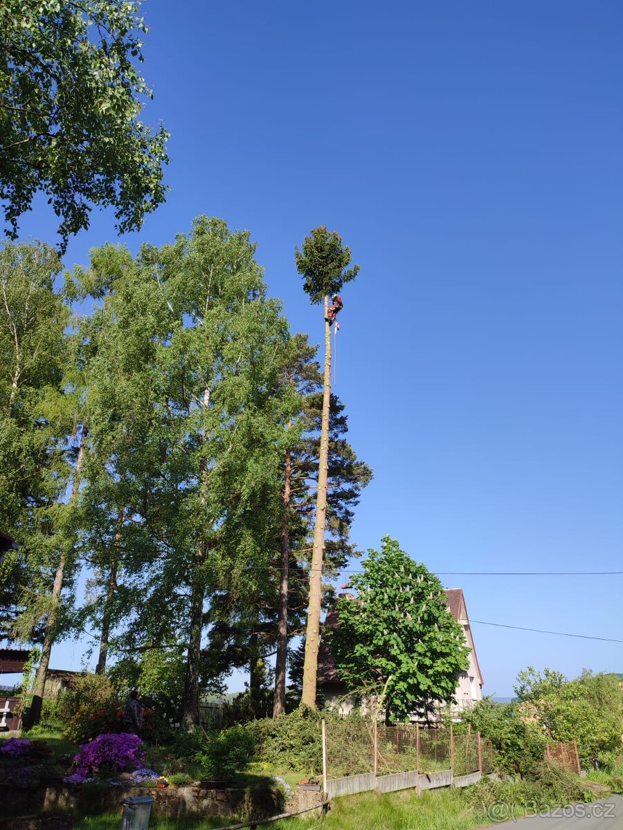 Pronájem autoplošiny - 5