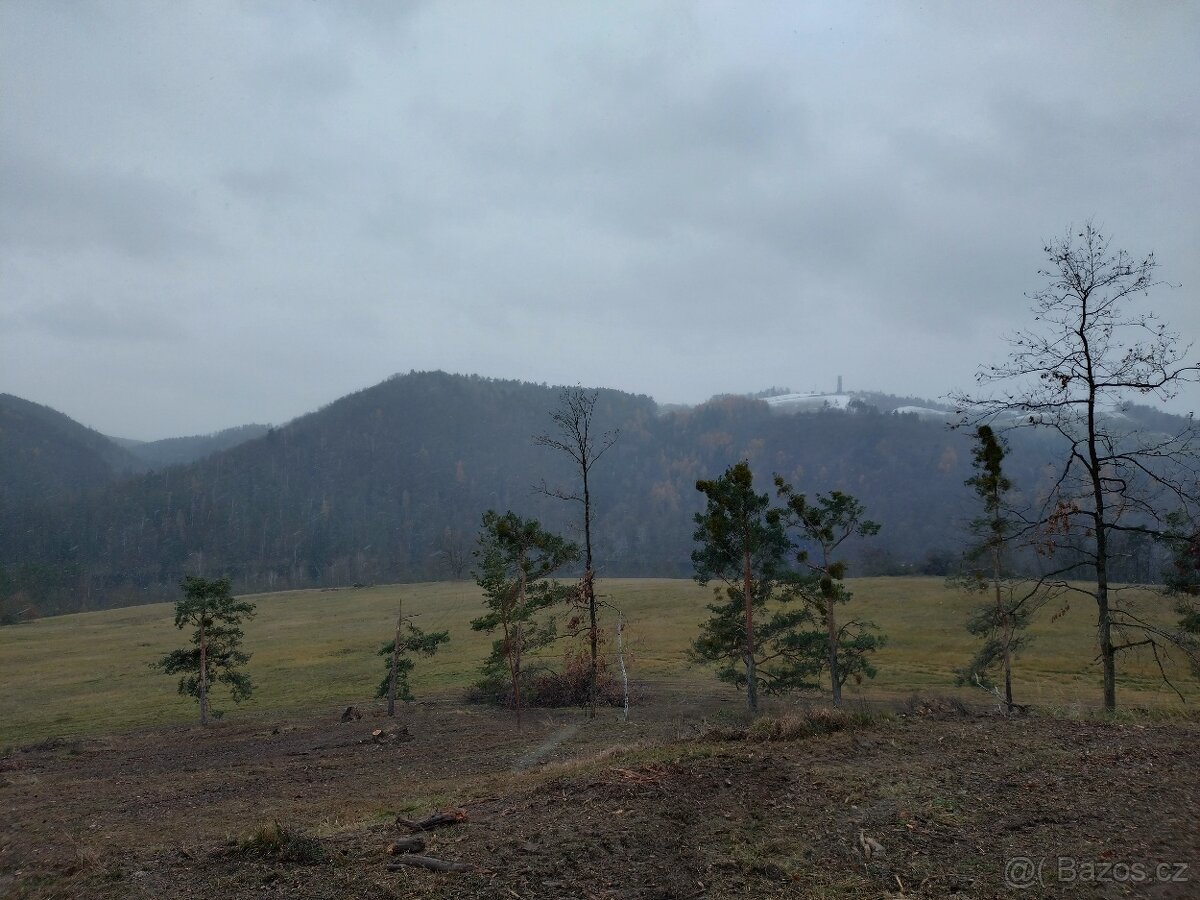 Stavba lesních oplocenek - 5