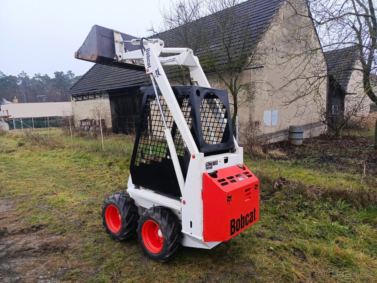 Clark Bobcat 313 - 5