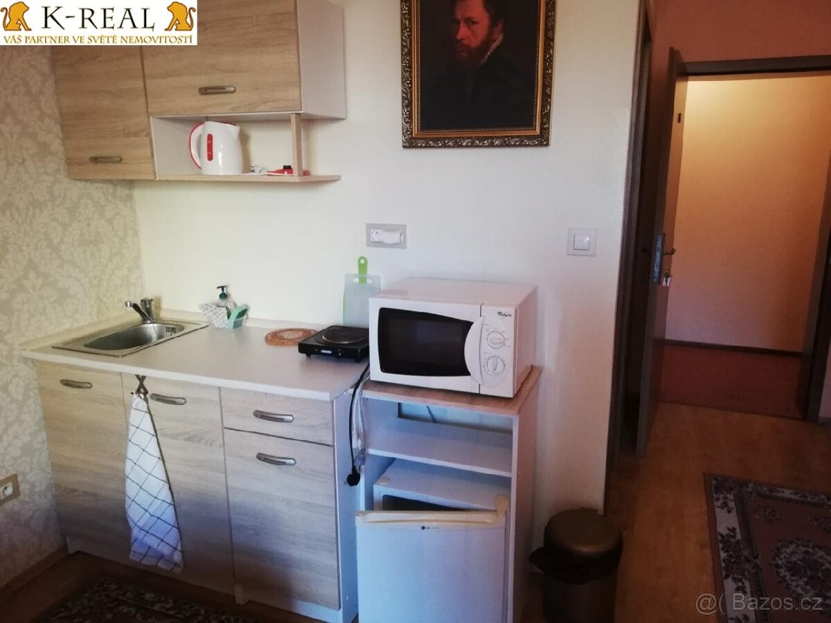 Pronájem byt 1+0 Brno - Bosonohy, okr. Brno - město - 5