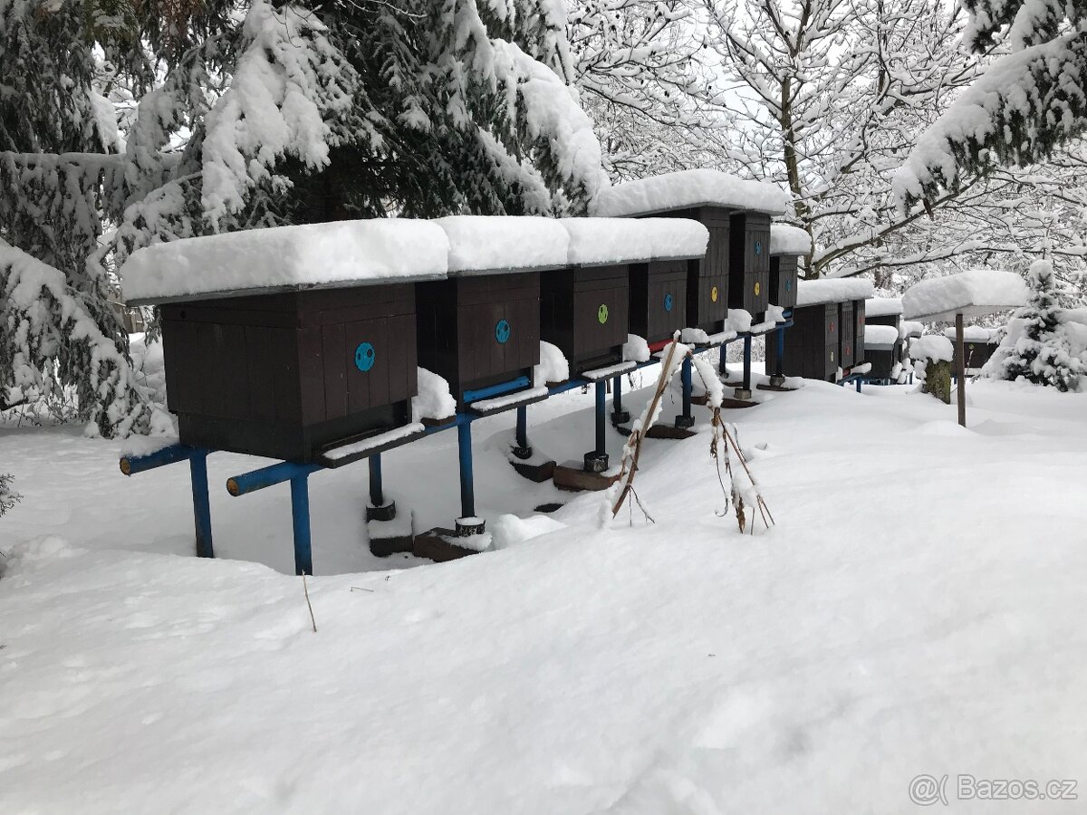 MED přímo od včelaře – při koupi 10 sklenic 1 zdarma - 5