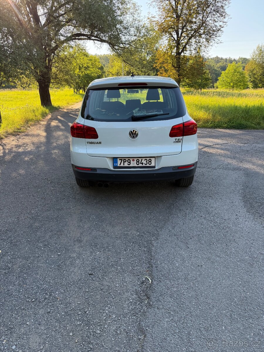 Tiguan - 5