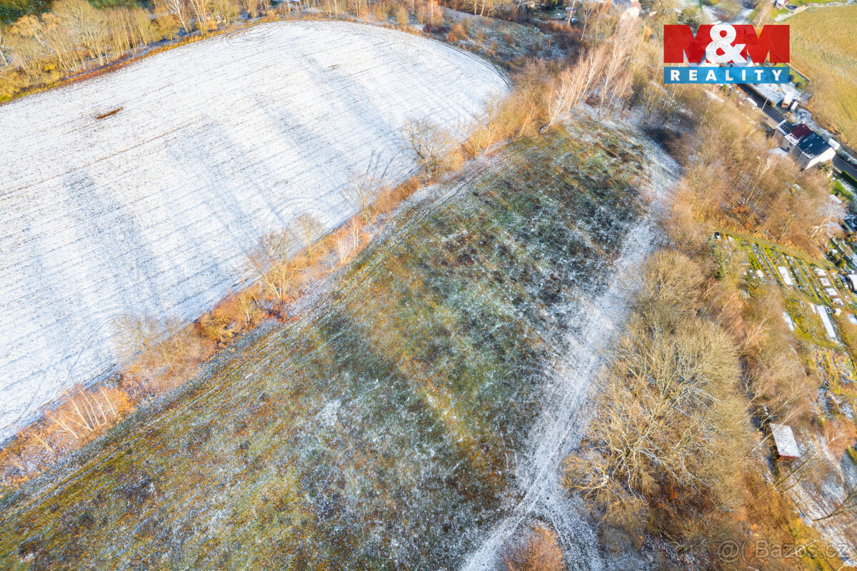 Prodej louky, 4185 m², Ostrov - 5