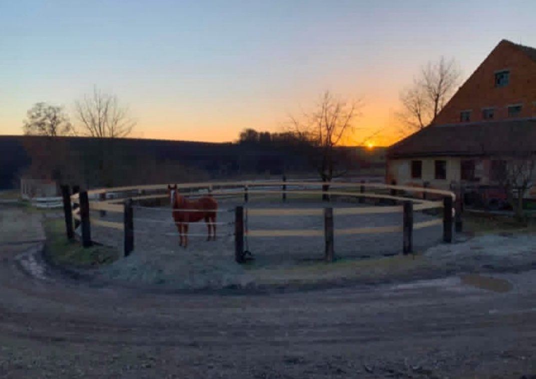 Brigáda u koní - 5