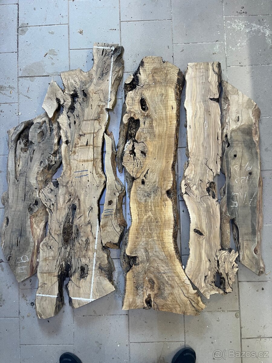 Fošny Olivovník - vysušené, TOP kvalita ze Španělska - 5