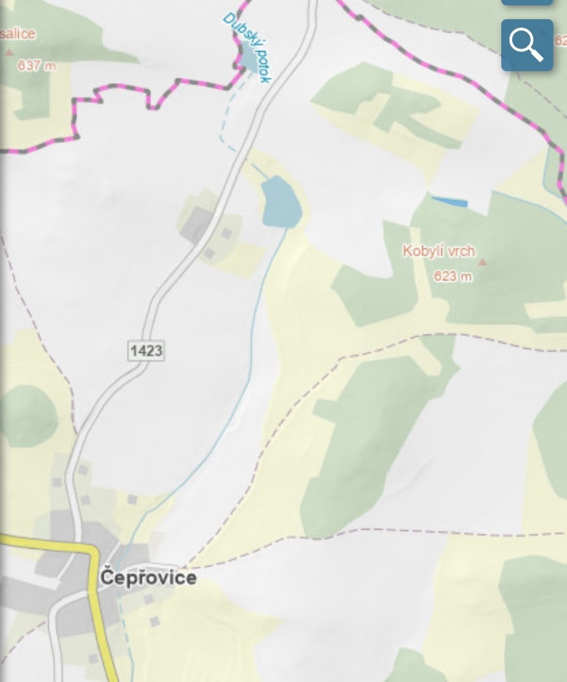 Prodám lesní pozemek Čepřovice - 5