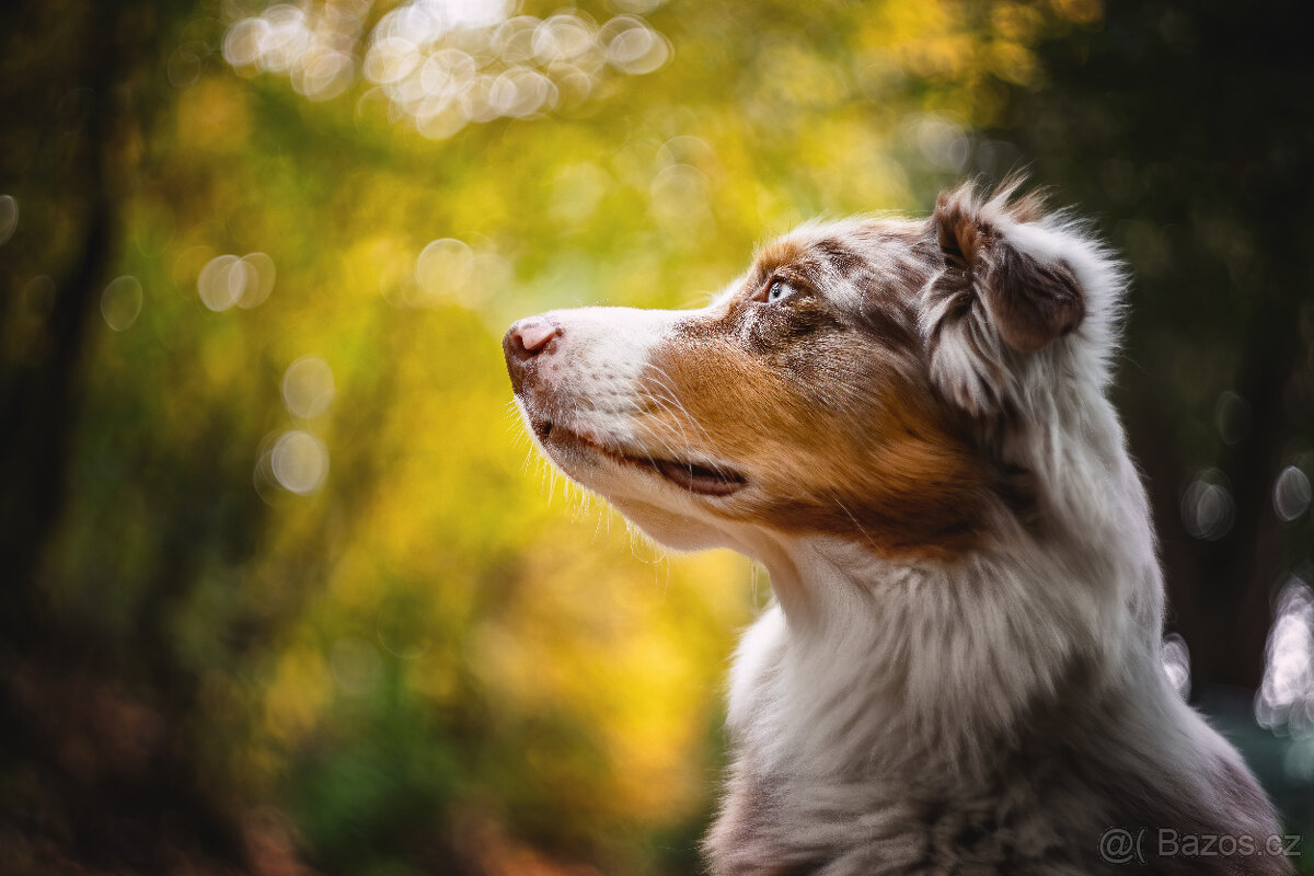 Helios 44M 58/2 M42 - 5