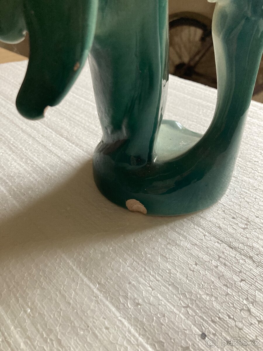 Prodám sošku papouška - 5