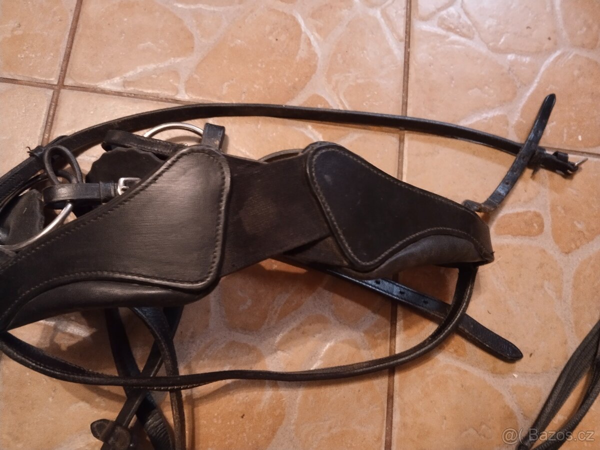 Uzdečka full - 5