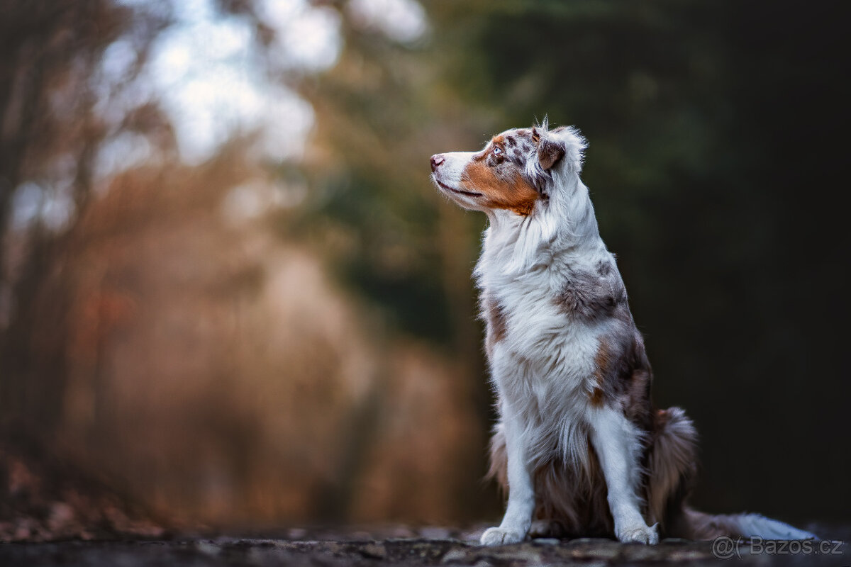 Meopta Meostigmat 141/1,9 M42 - 5