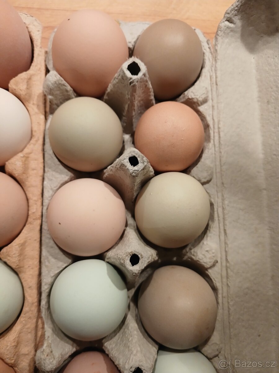 Násadová vejce - 5