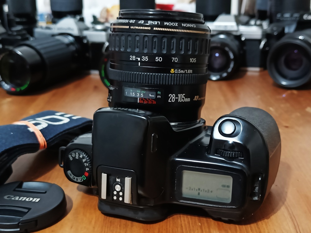 CANON EOS 1000 F (Canon Zoom lens EF 28-105mm) - 1990 - 5