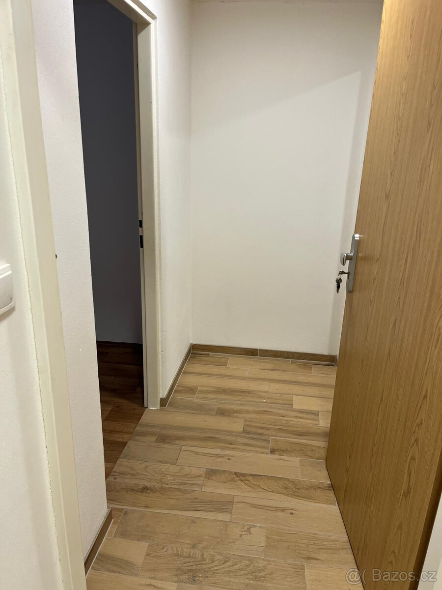 Pronájem bytu 1kk Vizovice - 5