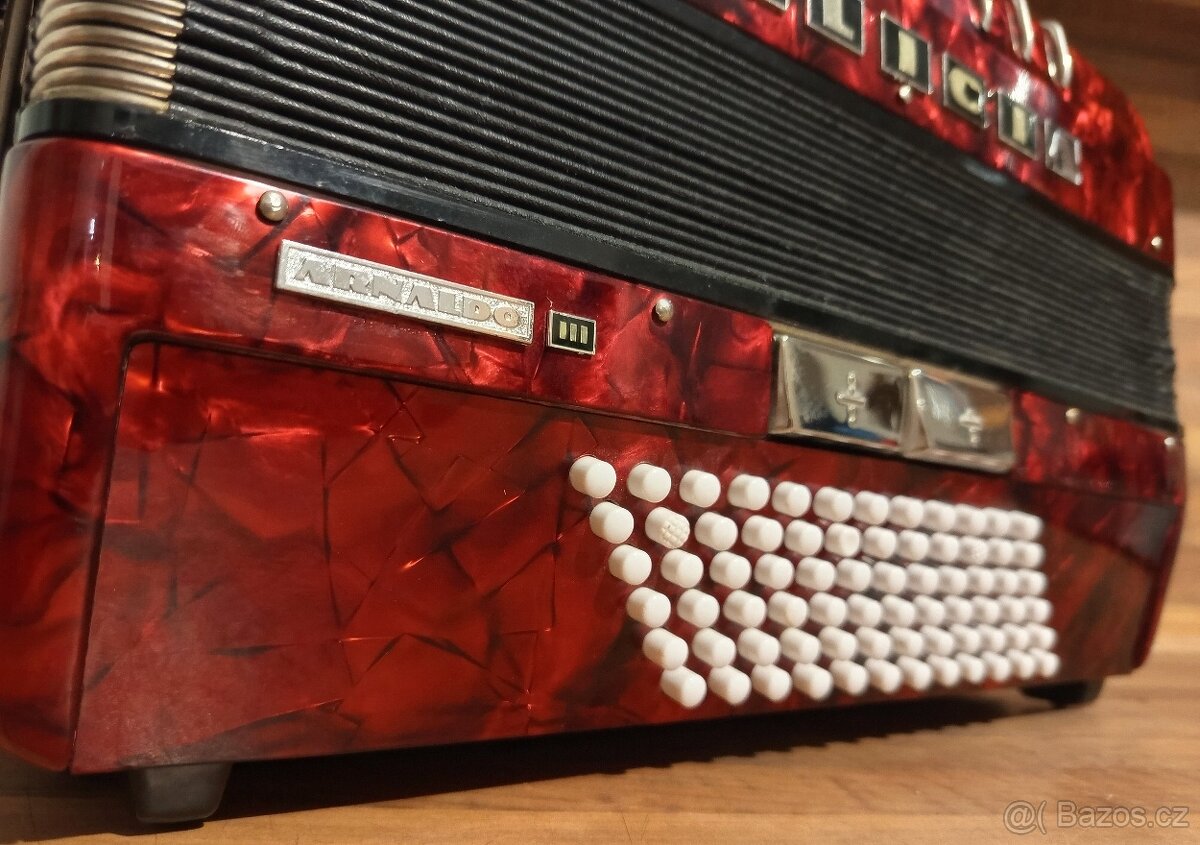 Akordeon (harmonika, heligonka) Delicia Arnaldo - 5