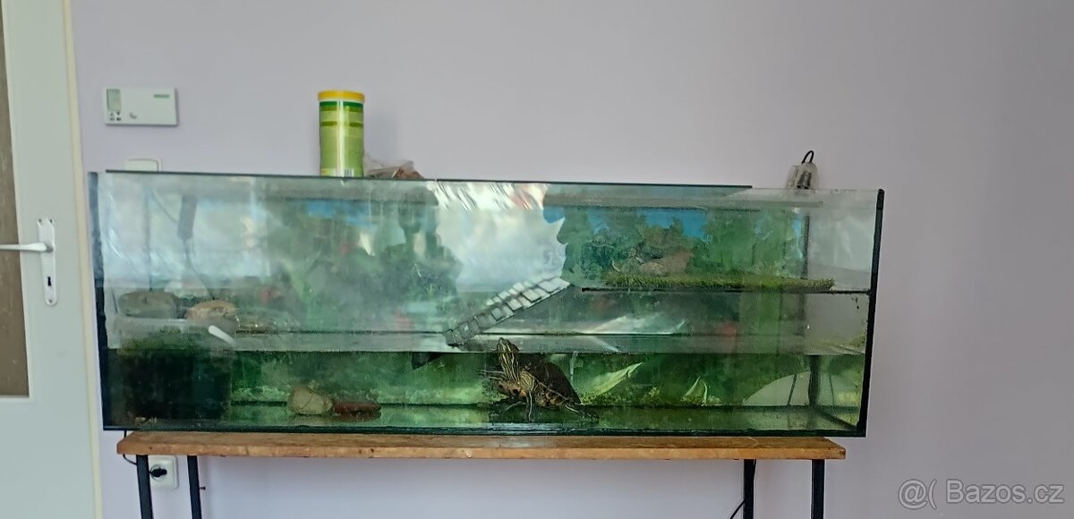 Želvárium/akvárium - 5