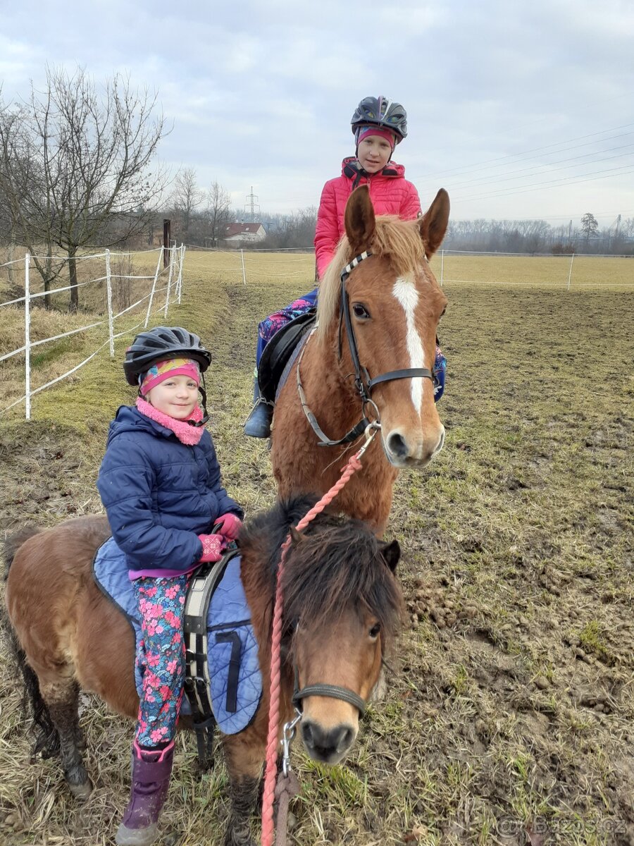 Pronájem, ježdění na koních - 5
