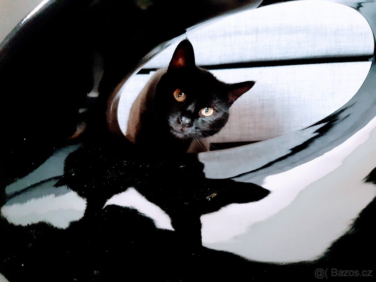 konferenční stolek - 5