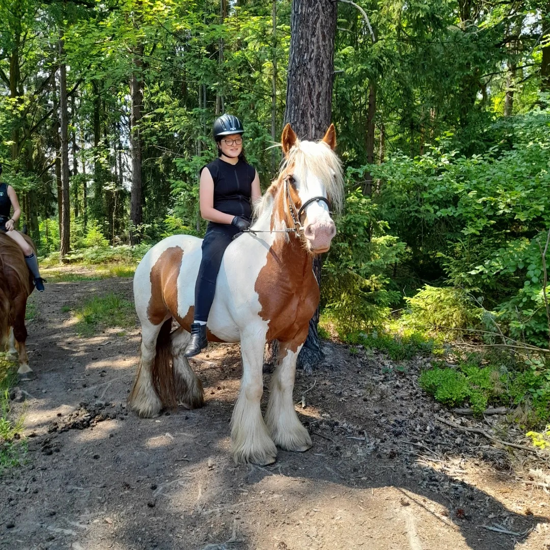 Vyjížďky na koních i ponících - 5