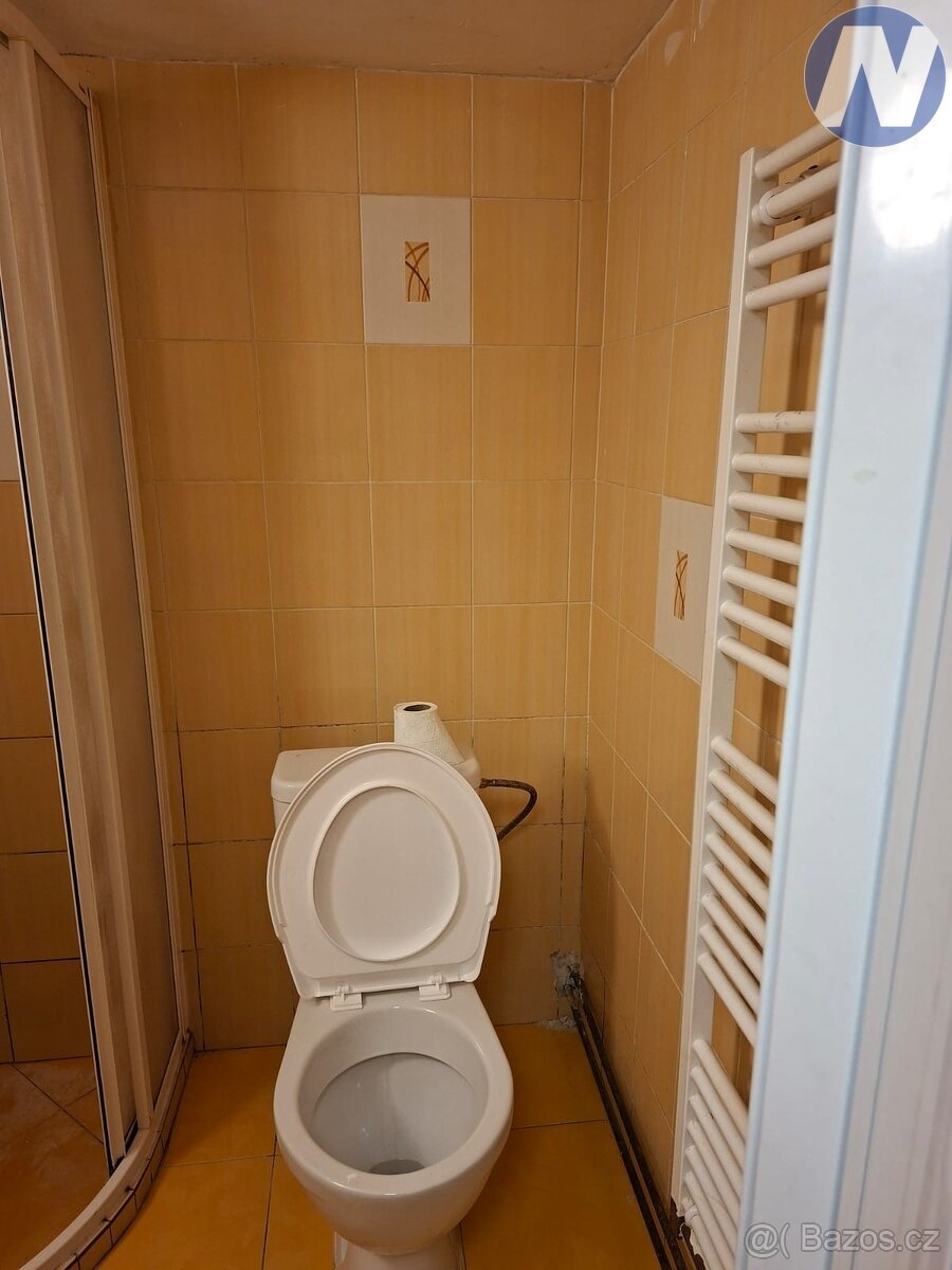 Pronájem bytu Štěpánovice - 5