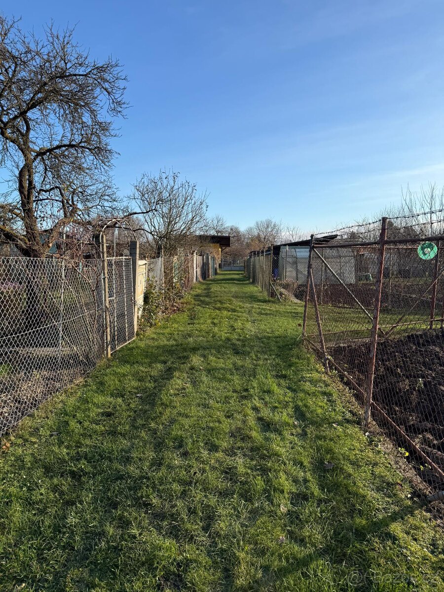 Zahrada Hulín 438 m² – elektřina, studna, bouda, pergola - 5