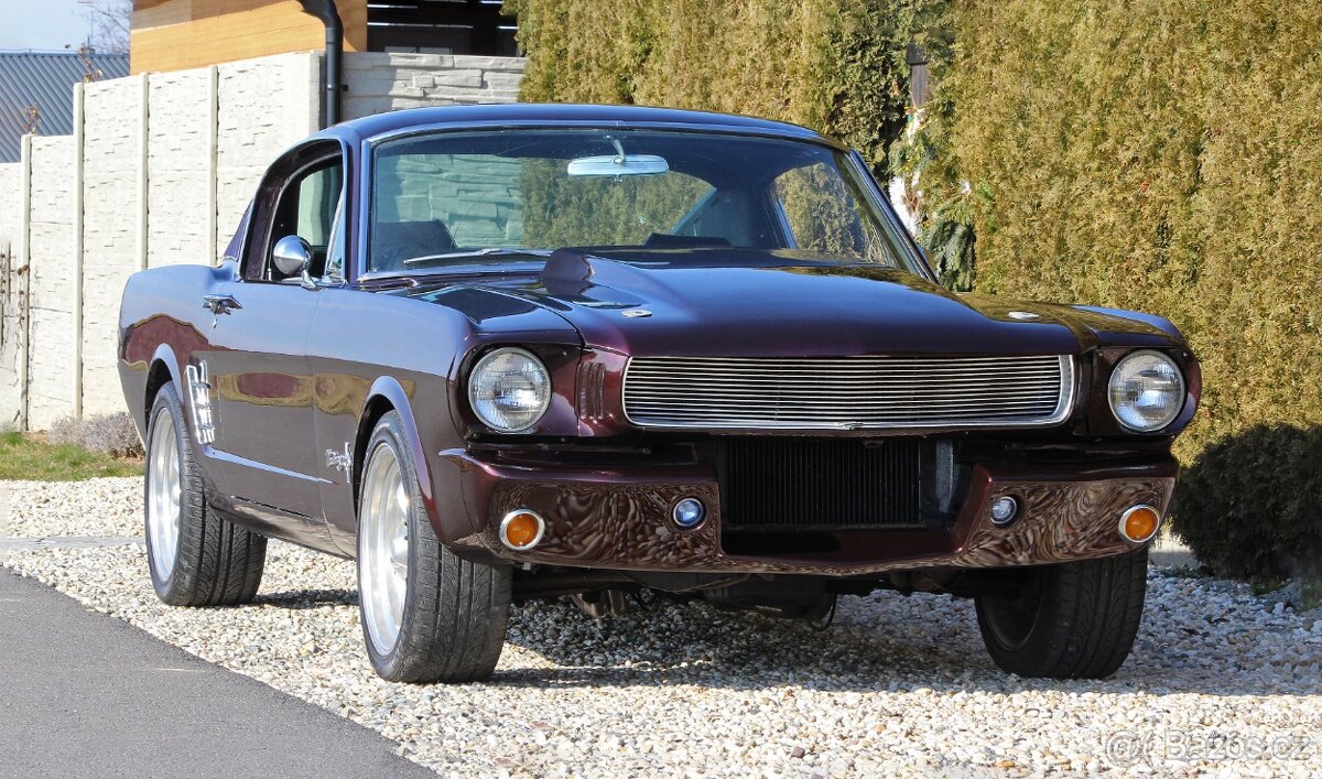 1966 FORD MUSTANG FASTBACK V8 AUTOMATIC SHOW CAR - 5